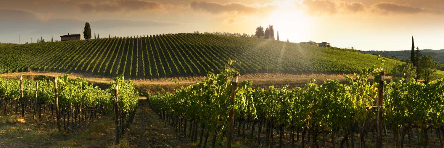 Konsumgüter Wein und Spirituosen